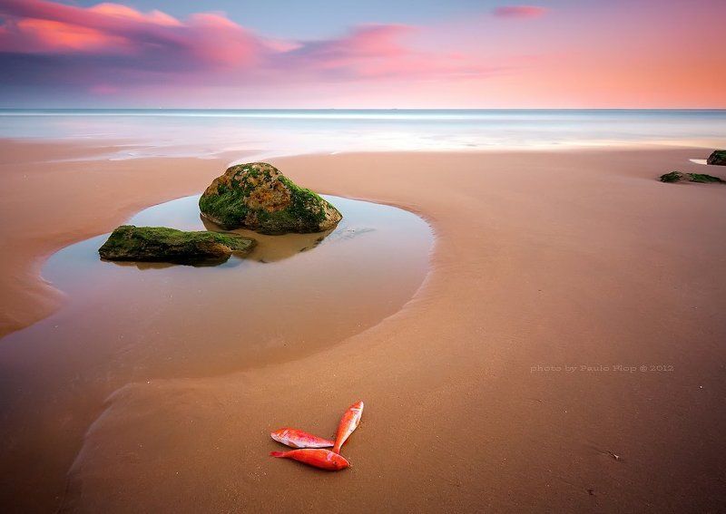 Three days of happiness.photo preview