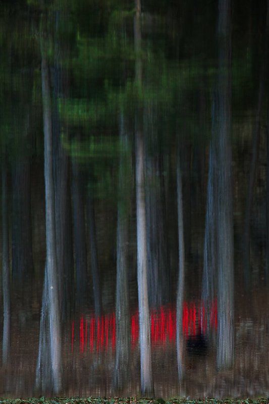 Land Artphoto preview