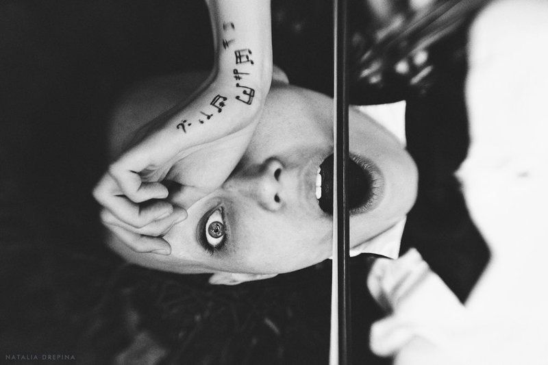 адажио, мертвые насекомые, скрипка, скрипач, смычок, смерть, ноты, музыка Адажио для мёртвых насекомыхphoto preview