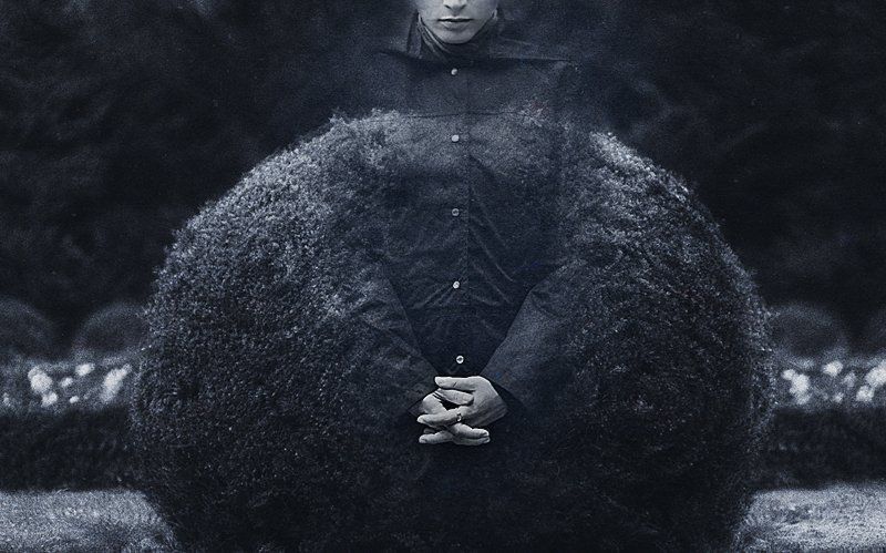 still waitingphoto preview