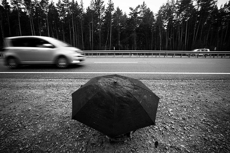 земляника, strawberry, russia, мальчик, дорога, барнаул, новосибирск продавец земляникиphoto preview