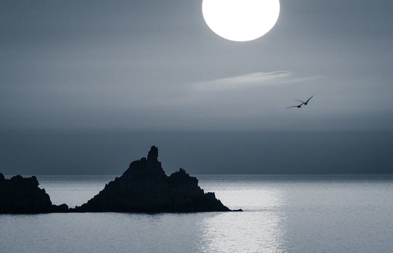 кальвийские птеродактилиphoto preview