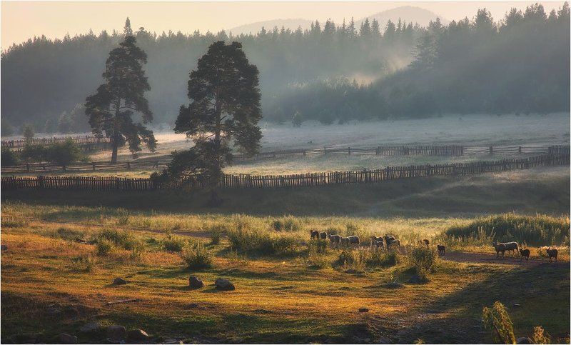 тюлюк Утро в Тюлюкеphoto preview