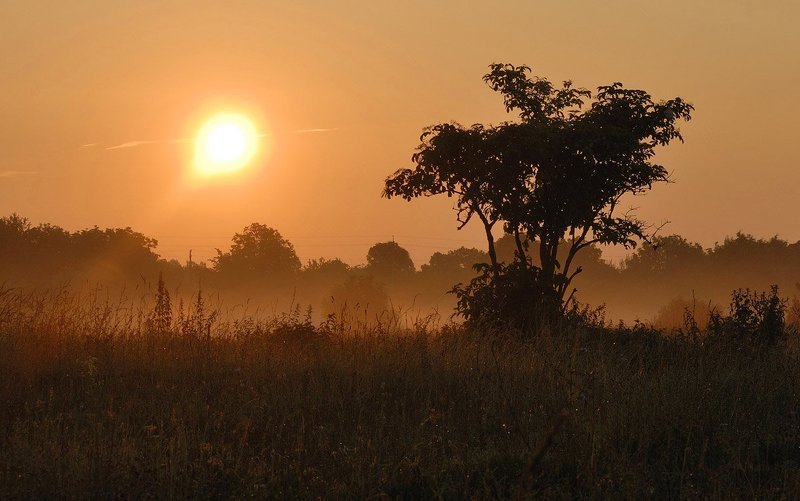 Под Калахариphoto preview