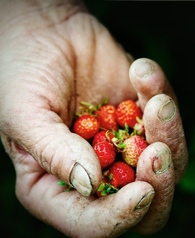 Клубничкаphoto preview