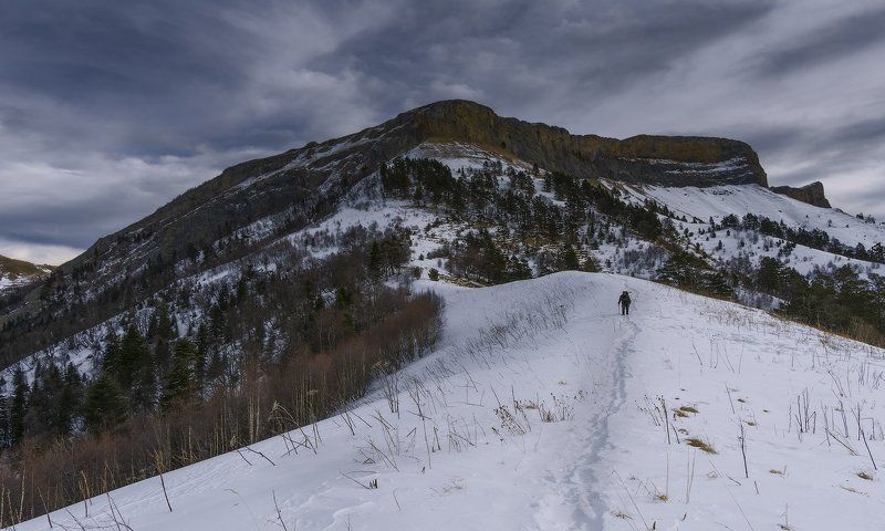 ПО ДОРОГЕ К ДОМУphoto preview