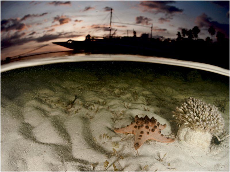 филиппины, бохол Филиппинские сплитыphoto preview