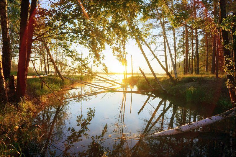 озеро белое, пейзаж, природа, рассвет, солнце, тишина, утро Рождение света фото превью