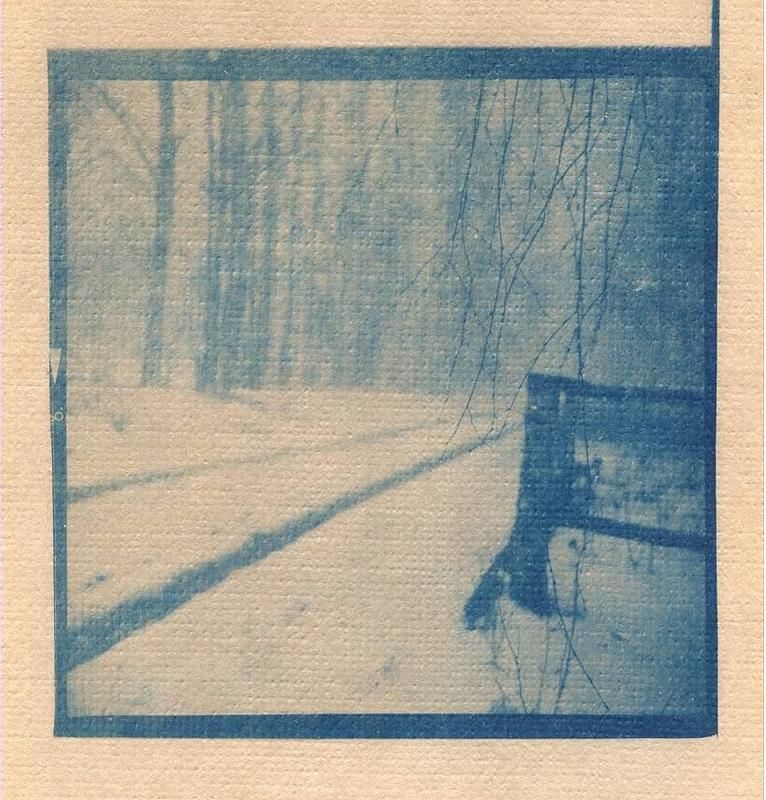 цианотип ***photo preview