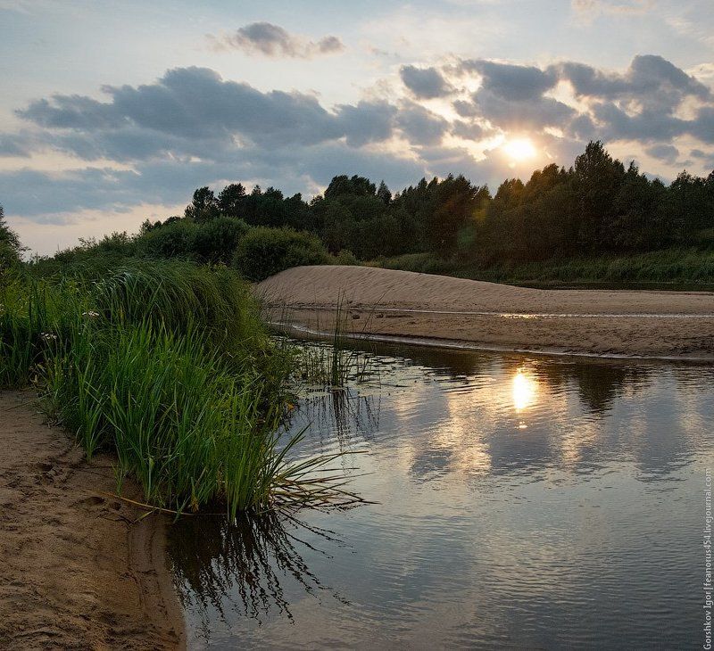 молога,река,лето,вечер,rpp Вечер на Мологеphoto preview