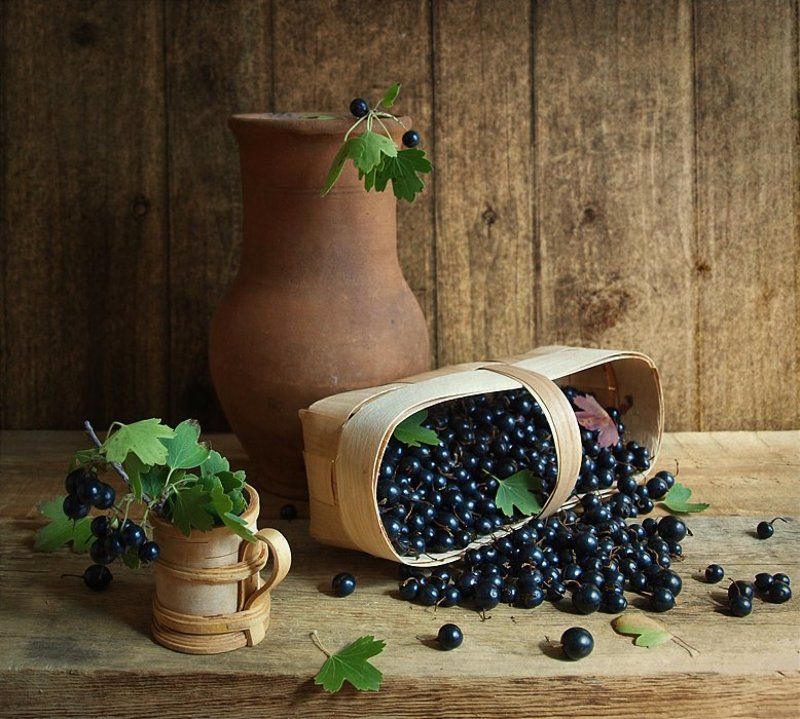 С чёрной смородинойphoto preview