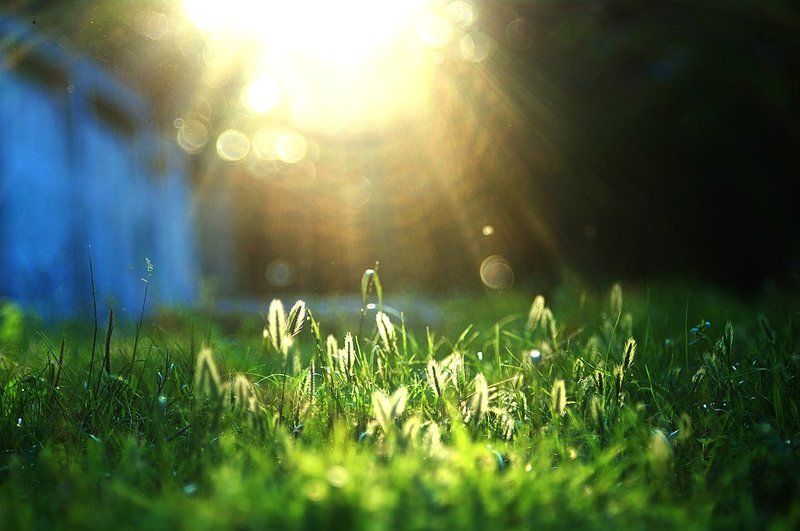 Место, где светphoto preview