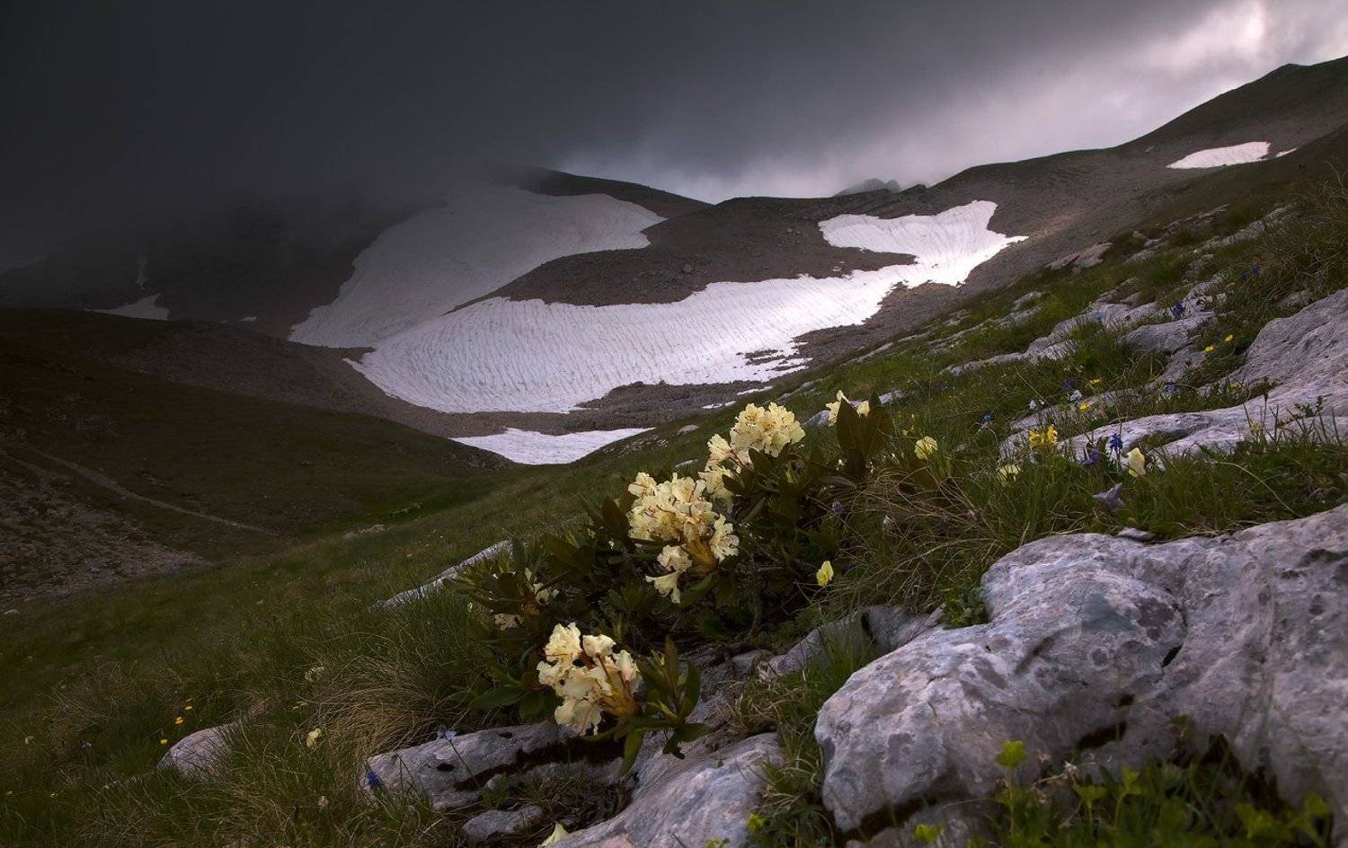 горы, лаго-наки, Ирина Заграничная