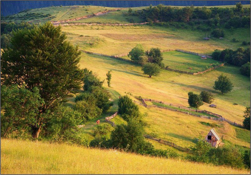 карпаты Горная пасторальphoto preview