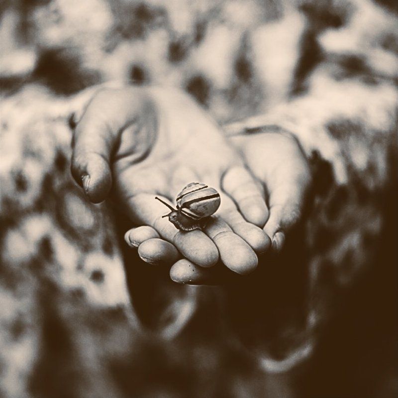 руки,улитка,ч/б ***photo preview