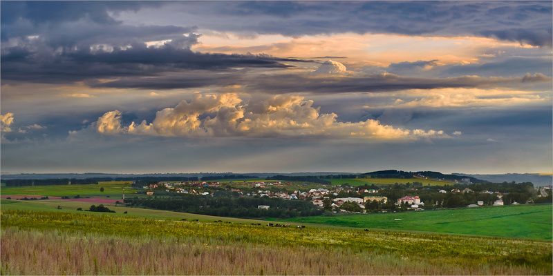пейзаж, природа, небо, вечер, нижний новгород, На лугу пасутся Ко №2photo preview