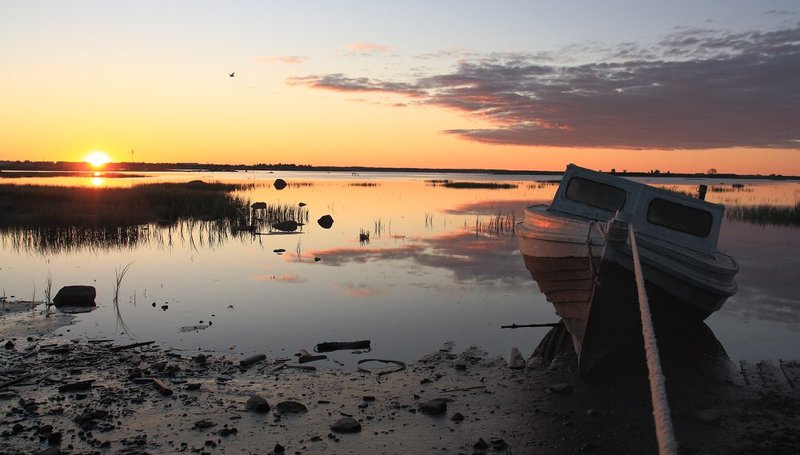 Привязанныйphoto preview