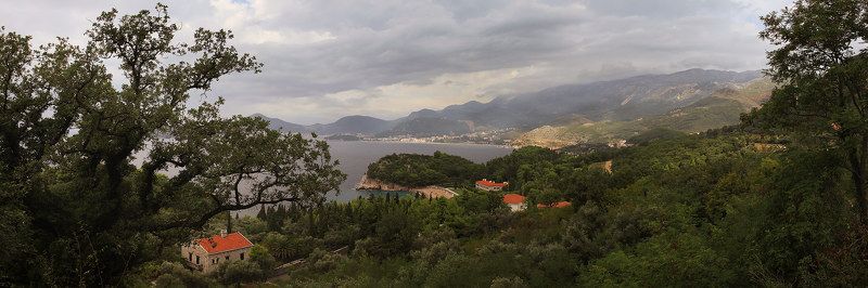 черногория про красные крыши в зеленой листвеphoto preview