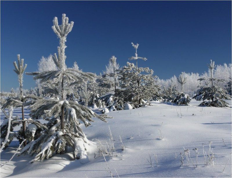 охлаждающая...photo preview