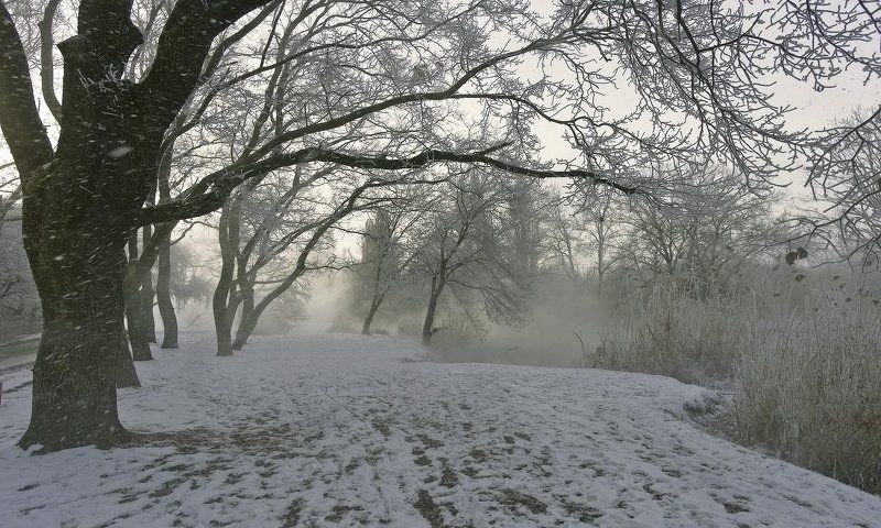 ВСПОМИНАЯ ЗИМУphoto preview