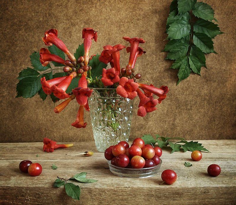 С текомой и алычойphoto preview