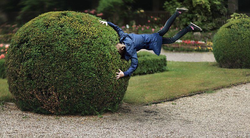 beating about the bushphoto preview