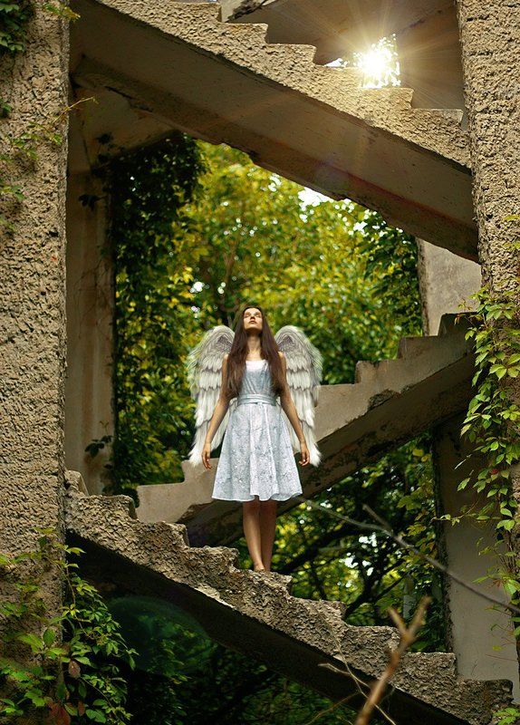 Ей дали крылья, но она так и не взлетелаphoto preview