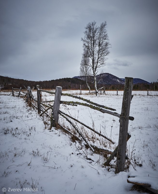 сибирь ***photo preview