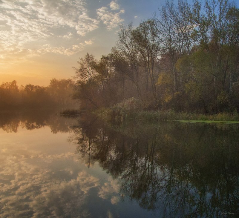 осень,утро,рассвет,река,берег,лес,туман Рассветы осени прохладны ...photo preview