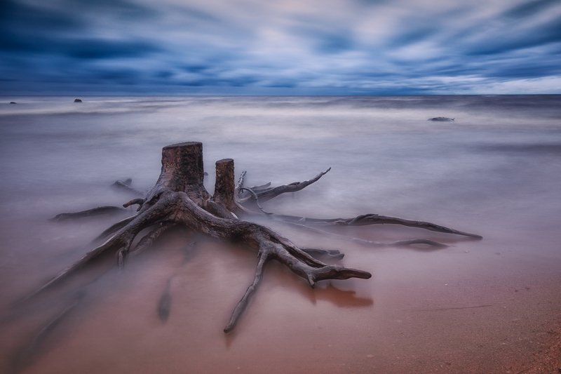 рыбинское, рыбинск Спрут рыбинского моряphoto preview