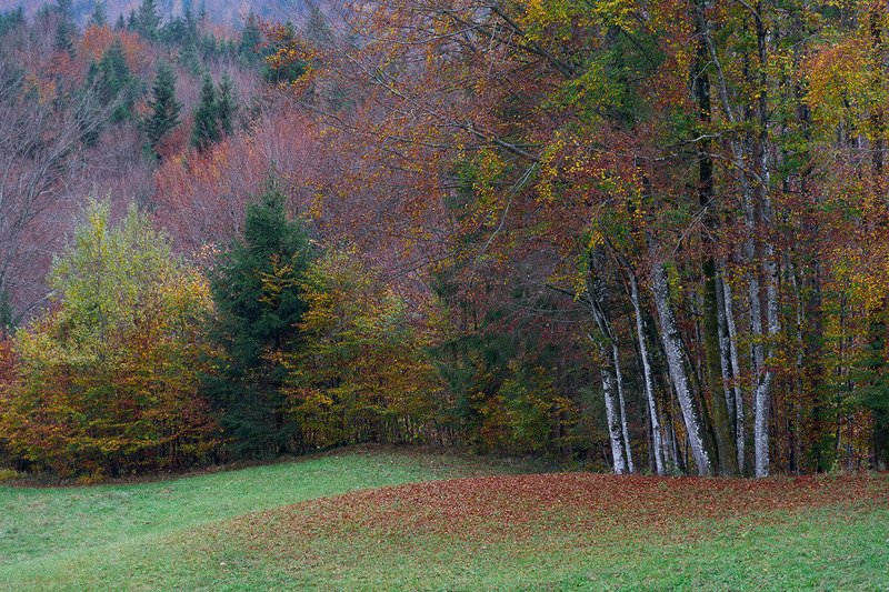 Осенние зарисовкиphoto preview