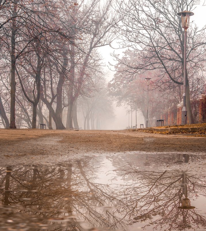 отражения, осень, пейзаж, лужи, природа  фото превью