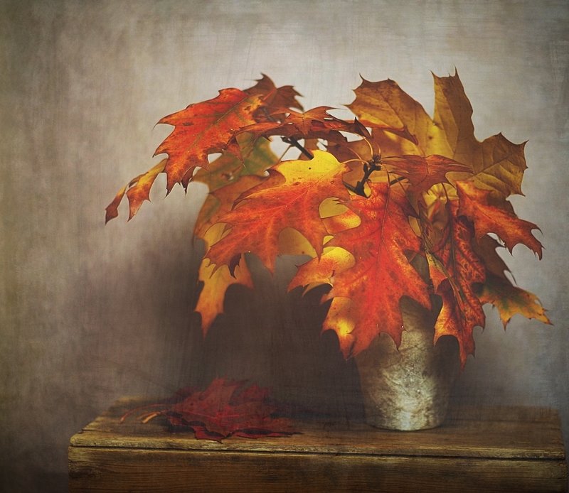 jesienniephoto preview