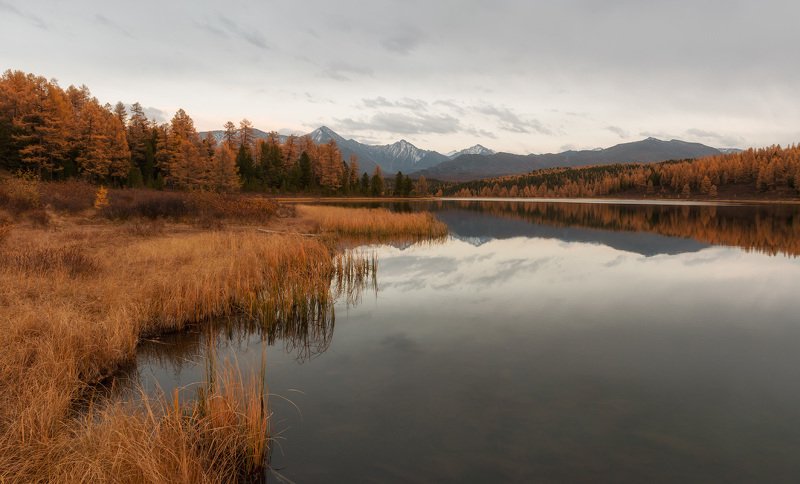 горный алтай, улаганский перевал, киделю Вечер на Киделю фото превью