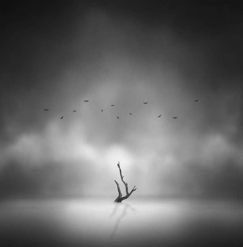 Black and White Moodphoto preview