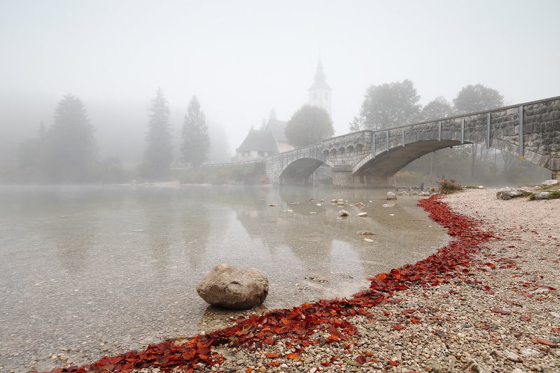 bohinj, ribcev laz, slovenia, mist, fog, mood, morning, lake, bridge, church, stone, water, leaf Bohinjphoto preview