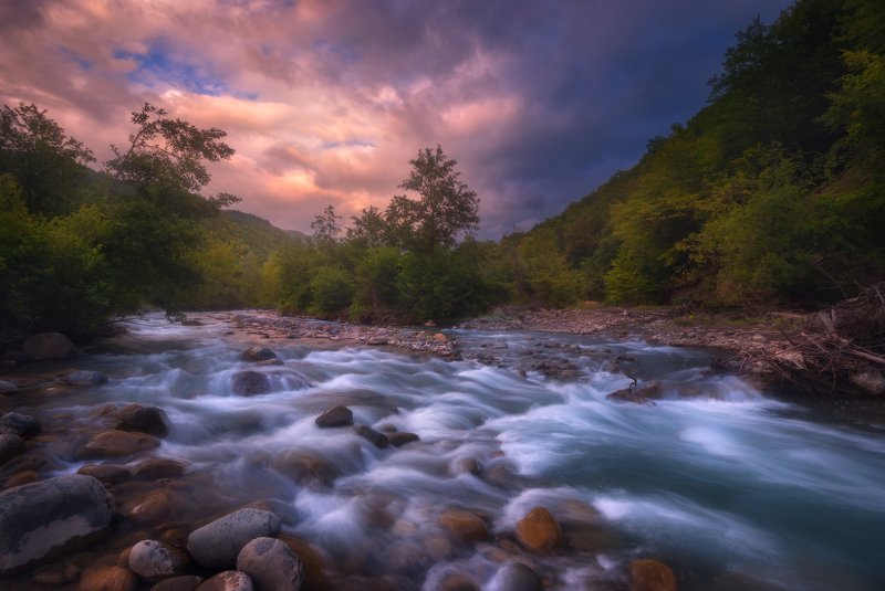 Evening Melodyphoto preview