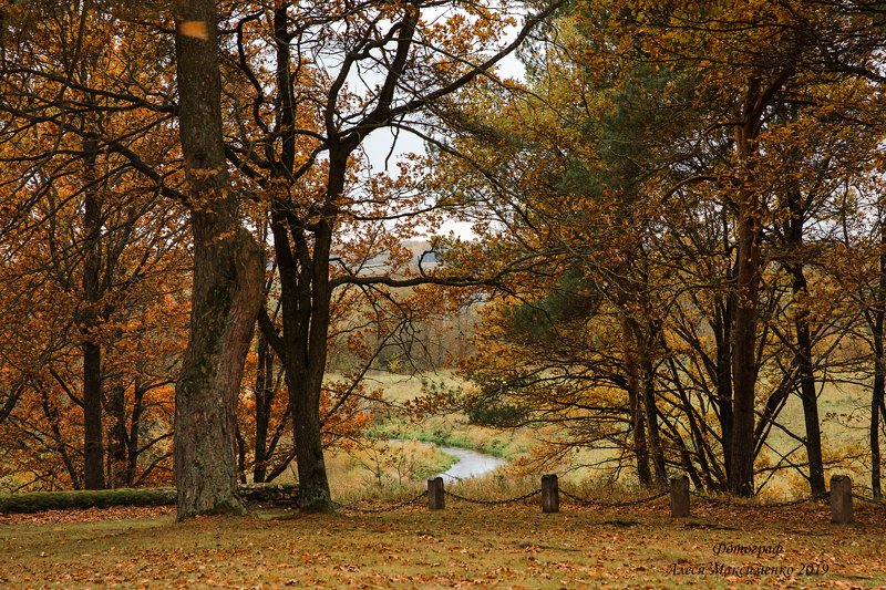 осень  photo preview