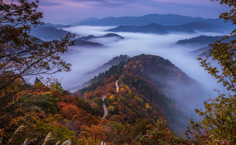 nature landscape japan mountain morning  autumn colors foggy 『 Path to Heaven 』photo preview