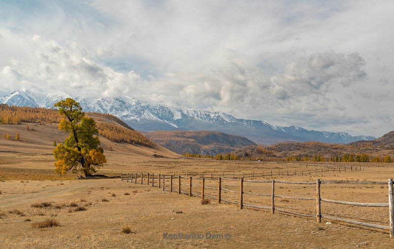 Классика жанраphoto preview