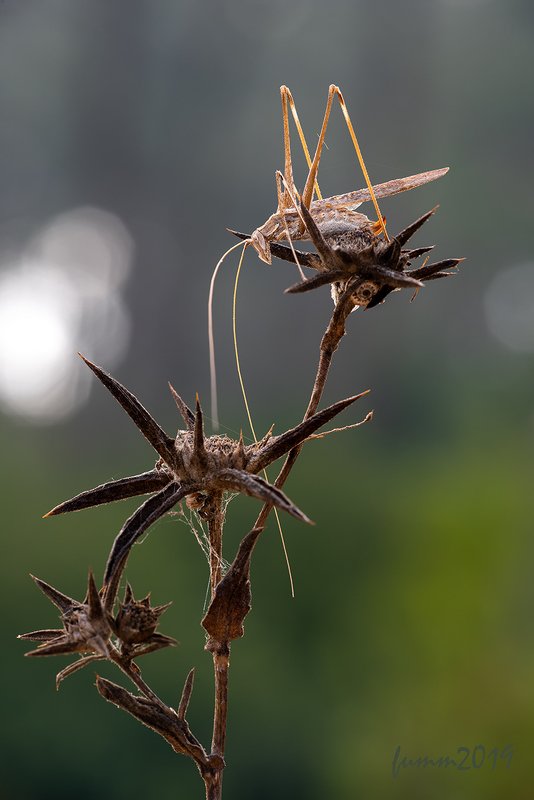 УРОКИ КОМПОЗИЦИИphoto preview