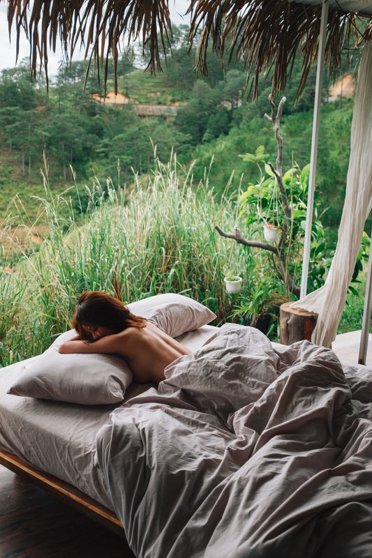 Wilder nestphoto preview