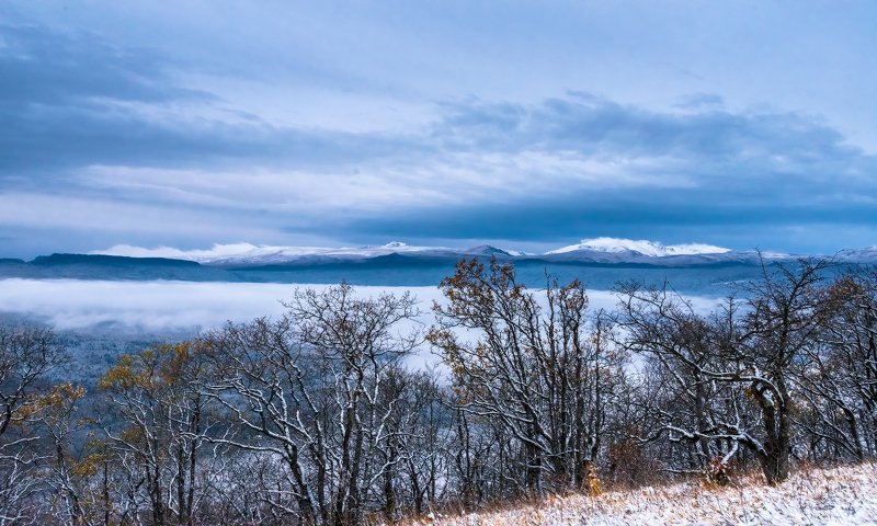Первое утро зимы...photo preview