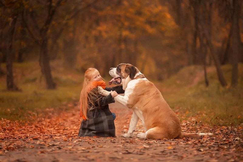 Рыжулькиphoto preview