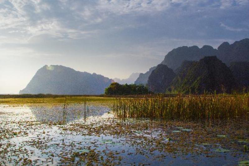 Vân Long swampphoto preview