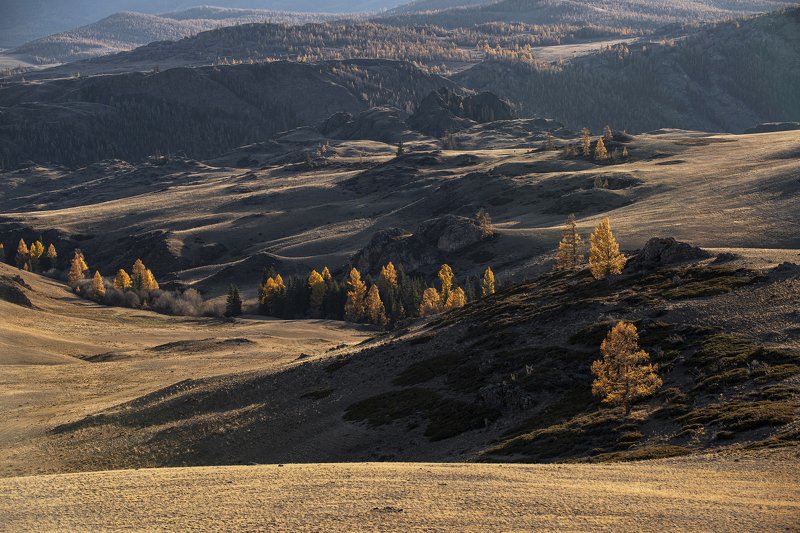 Ритмы Кураяphoto preview