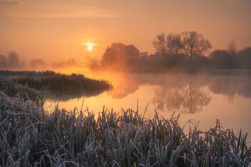 warta, morning, autumn, fog, trees, river, nature photo preview