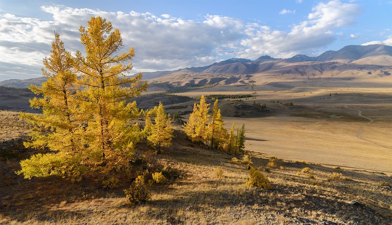 В золотых одеждах...photo preview