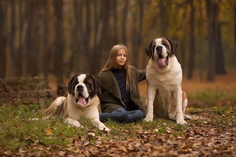 Красавцыphoto preview