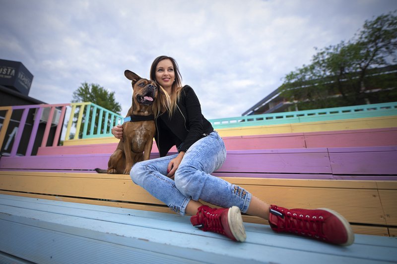 dog, mixbeed, Telliskivi kvartal, Tallinn Frankyphoto preview